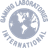 global-grey